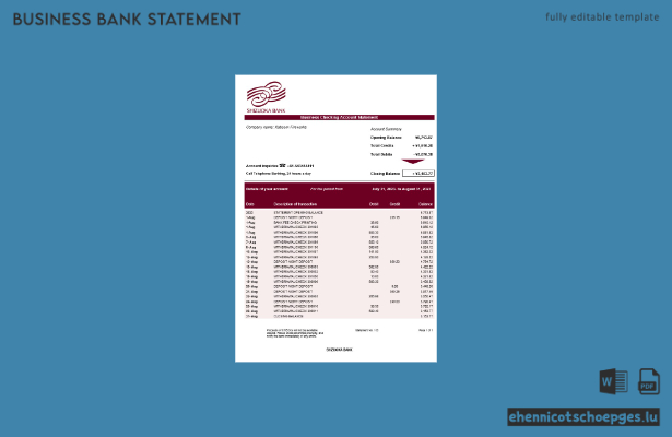 Shizuoka Bank Organisation Kontoauszug (Word- und PDF-Beispiel)